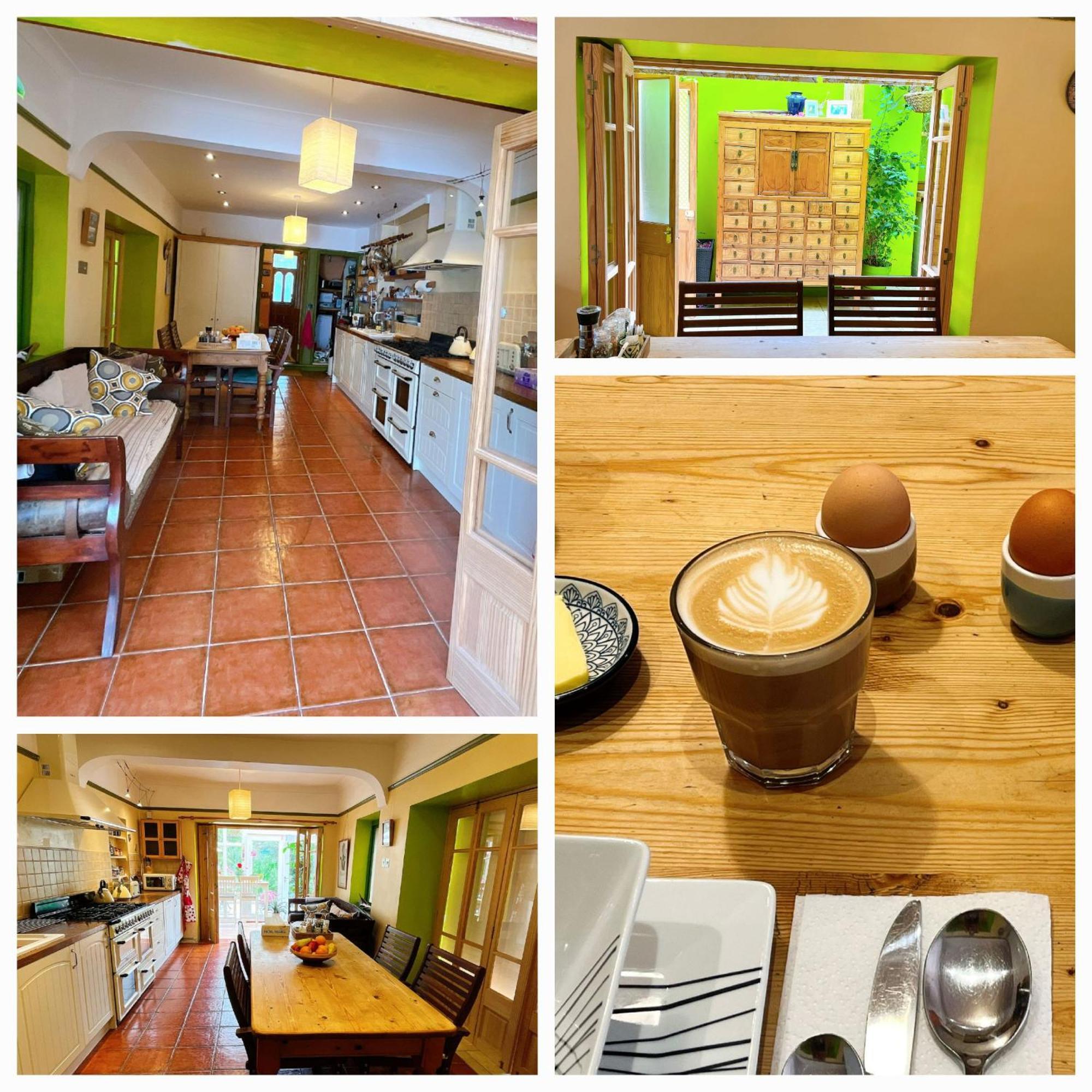 Funky Urban Jungle Bed & Breakfast Cardiff Exterior photo